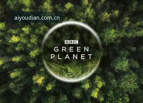 BBC纪录片《改变年轻男性的游戏规则》深度评测：索斯盖特如何用足球重塑一代人的身份认同
